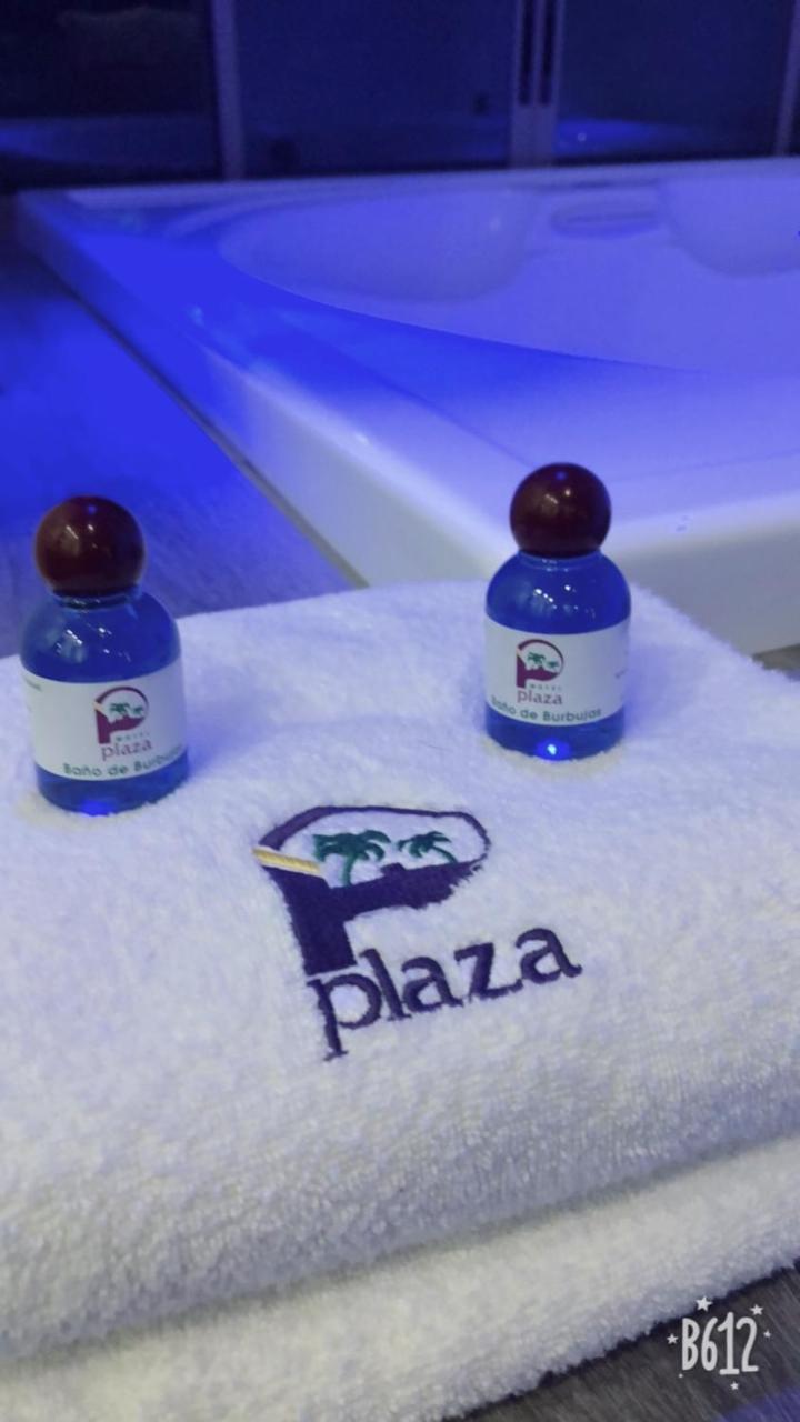 Hotel Plaza Arteaga Monterrey Bagian luar foto