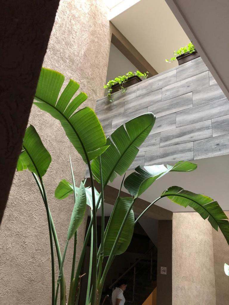 Hotel Plaza Arteaga Monterrey Bagian luar foto